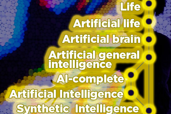 Reasoning about Life and Artificial Intelligence